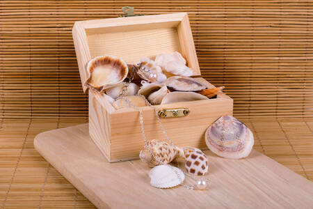 Houten doos met schelpen