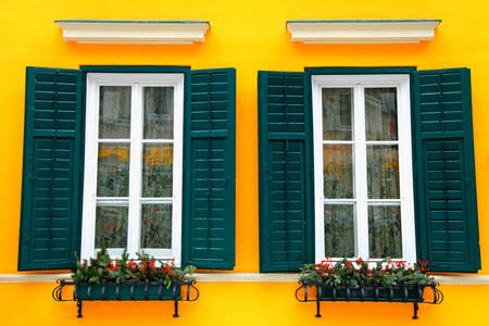 Windows with green shutters