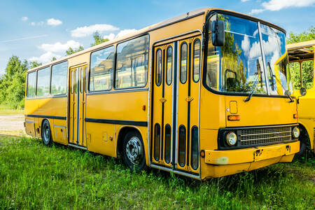 Abandoned old bus