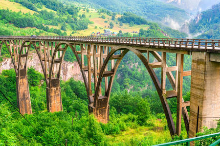 Djurdjevic bridge