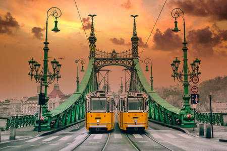 Les tramways jaunes sur le pont de la liberté à Budapest
