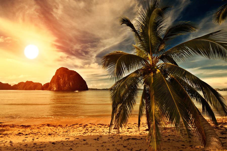 current-time-in-philippines-local-time-zone-dst-information-dayspedia