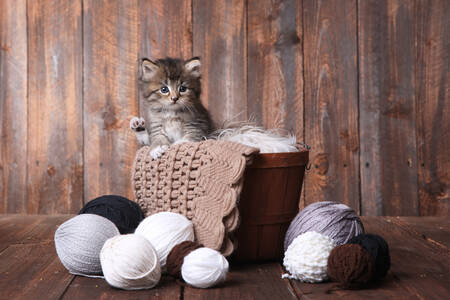 Kitten with balls of yarn