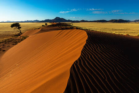 Zandduinen in Namibië