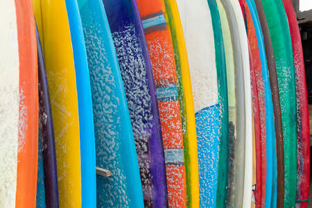 Sörf tahtaları