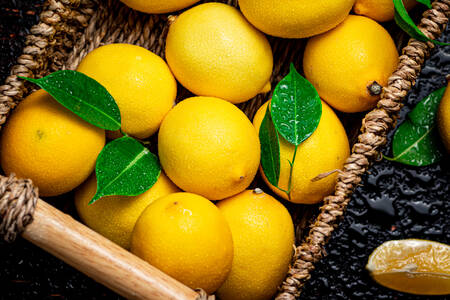 Lemons in a wicker tray