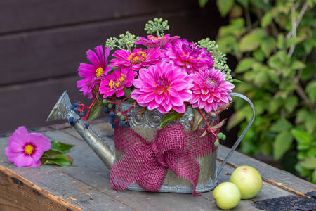Pink dahlias in a watering can