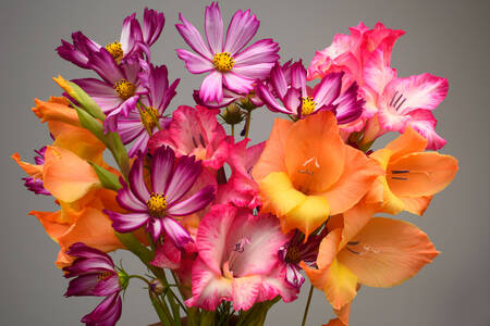 Bouquet con gladioli