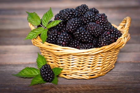 Blackberries in a basket