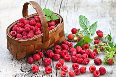 Framboises dans un panier