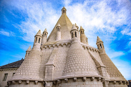 The roof of the castle