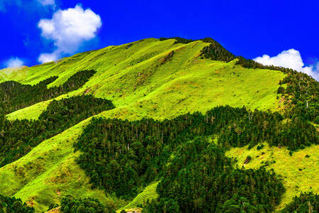 Groene top van de Hehuan-berg