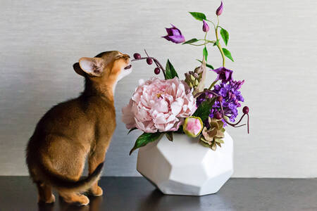 Abessijns kitten met een vaas bloemen