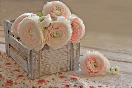 Ranunculus in a wooden box