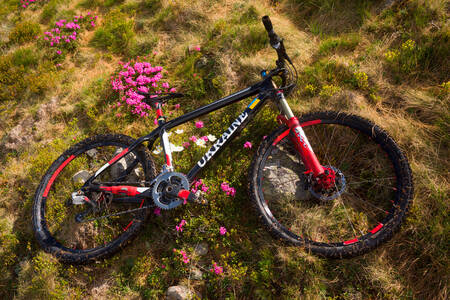 Hegyi kerékpár a füvön