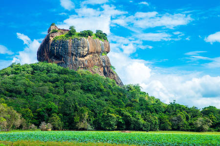 Sigiriya szikla