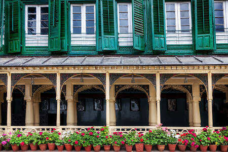 Tribhuvan Museum