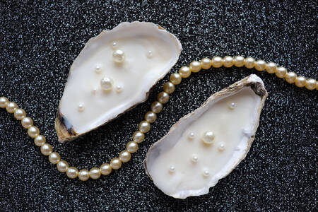 Conchas marinas y perlas