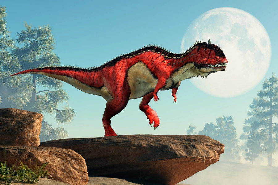 Rajasaurus on the rock