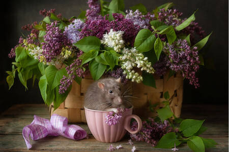 Rat in a cup and a bouquet of lilacs