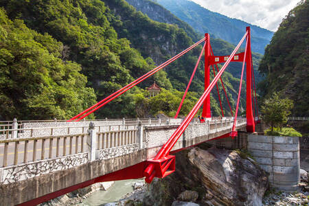 Мост в Национален парк Тароко