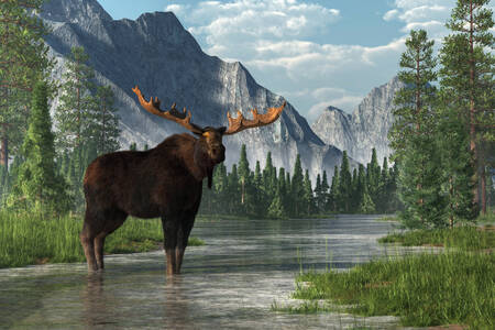 Elk in the river