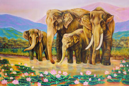 Asian elephants