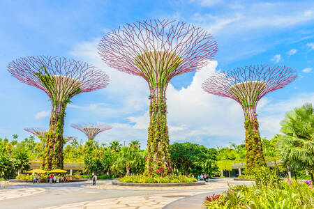 Jardins da Baía, Singapura