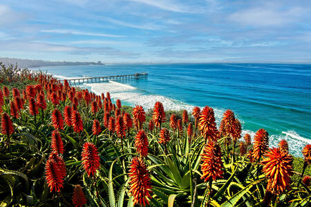 Scripps Pier in La Jolla