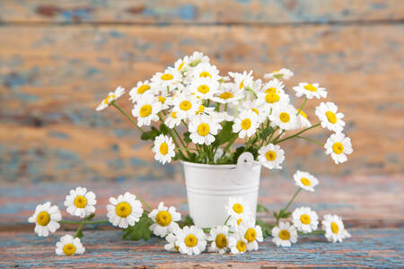 Daisies on an old wooden background