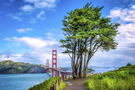 Utsikt over Golden Gate Bridge i San Francisco