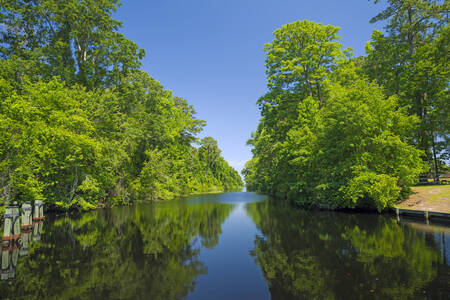 Kanał w rezerwacie przyrody Great Dismal Swamp National Wildlife Refuge