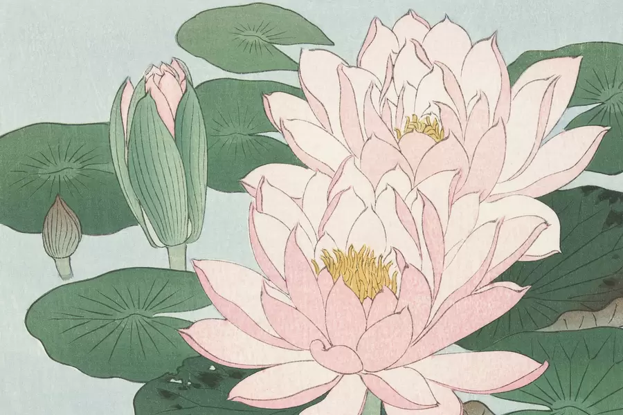 Ohara Koson: "Bunga Teratai"