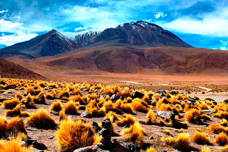 Náhorná plošina Altiplano