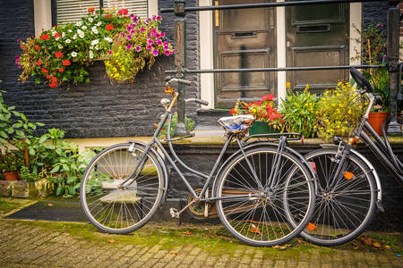 Bicykle v Amsterdame