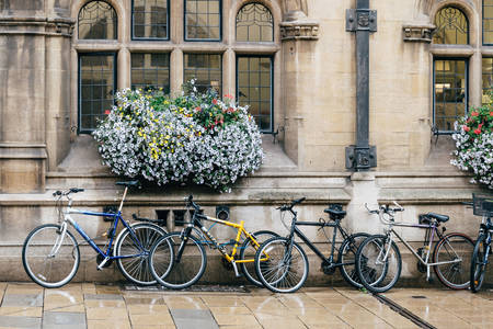 Bicicletas en la Universidad de Oxford