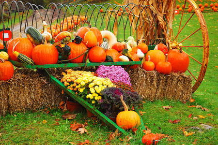 Decorations with pumpkins for the autumn holiday