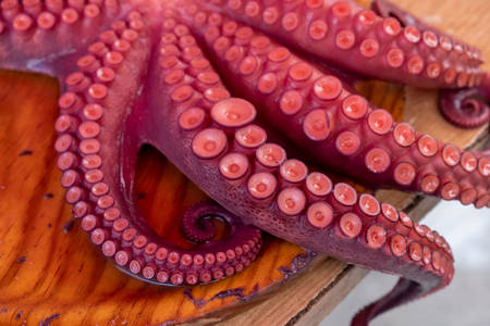 Octopus tentacles on wooden board