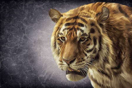 Retrato de tigre de bengala
