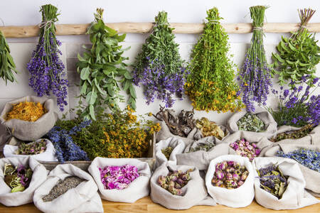 Medicinal herbs and flowers