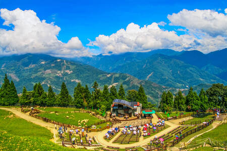 Qingjing Farm, Tajvan