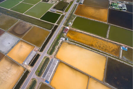 Luchtfoto van een zoutboerderij