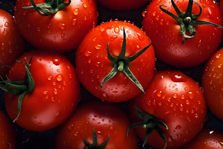 Tomates con gotas de agua