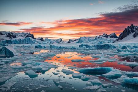 Топяща се ледена покривка в Антарктида