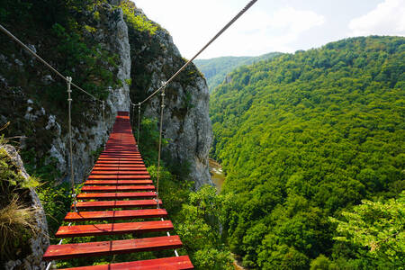 Ponte sospeso nelle montagne della Romania