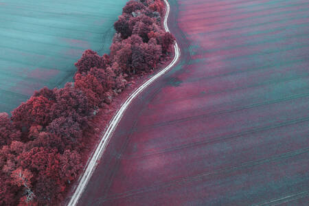 Pemandangan jalan dan ladang