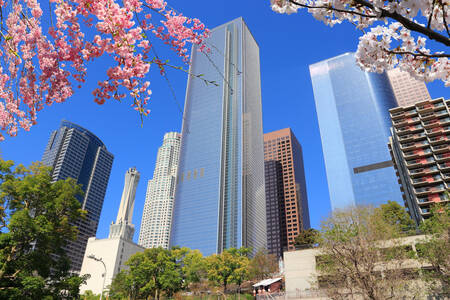 Los Angeles architecture