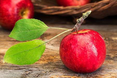 Masanın üzerinde kırmızı elma