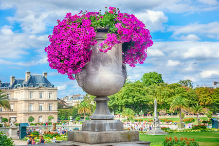 Вазон с цветами в Люксембургском саду