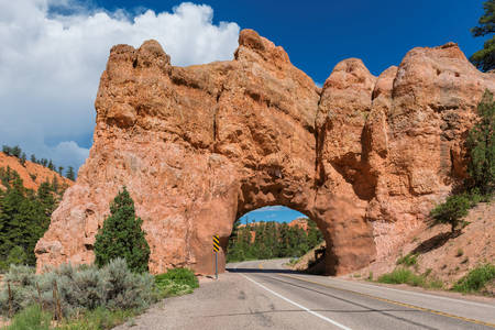 Bryce Canyon i Utah